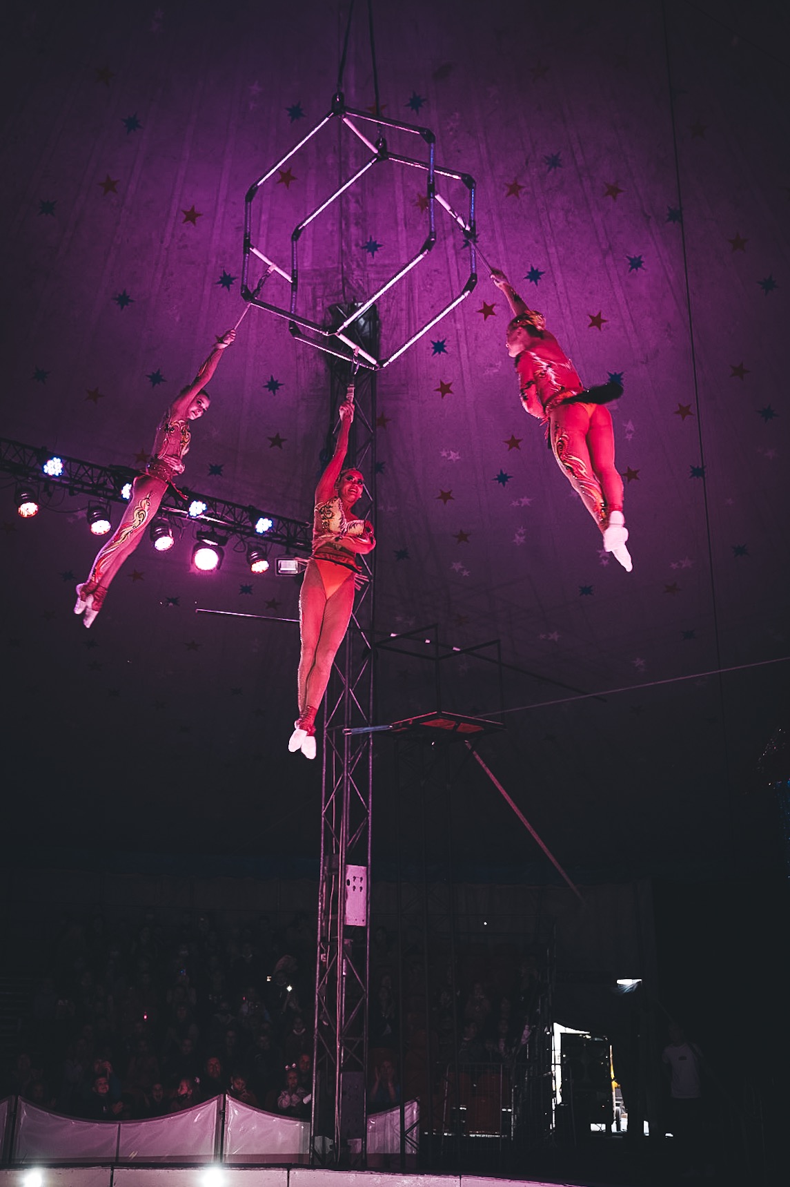 Цирк шоу слонов 2020 Самара