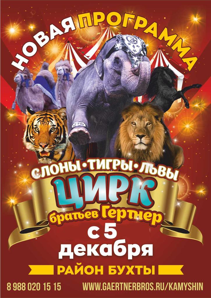 Цирк братьев Гертнер в Камышине с 5 декабря 2020
