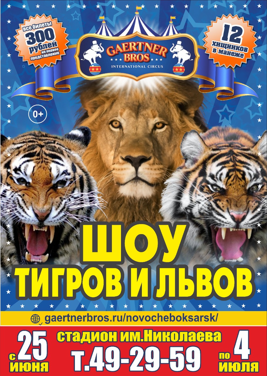 Цирк шоу слонов братьев Гертнер в Новочебоксарске с 25 июня по 4 июля 2021