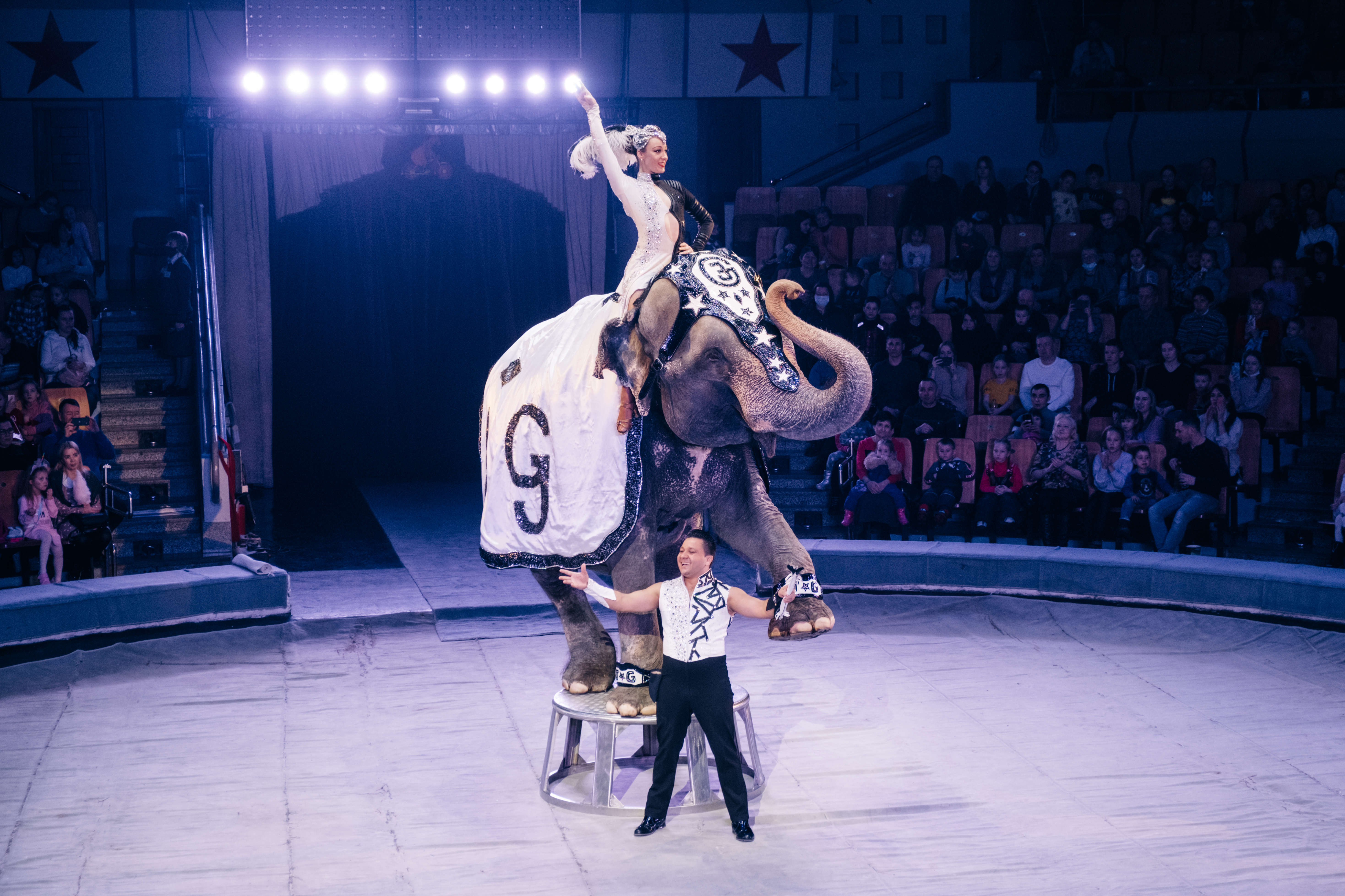 цирк шоу слонов 2022