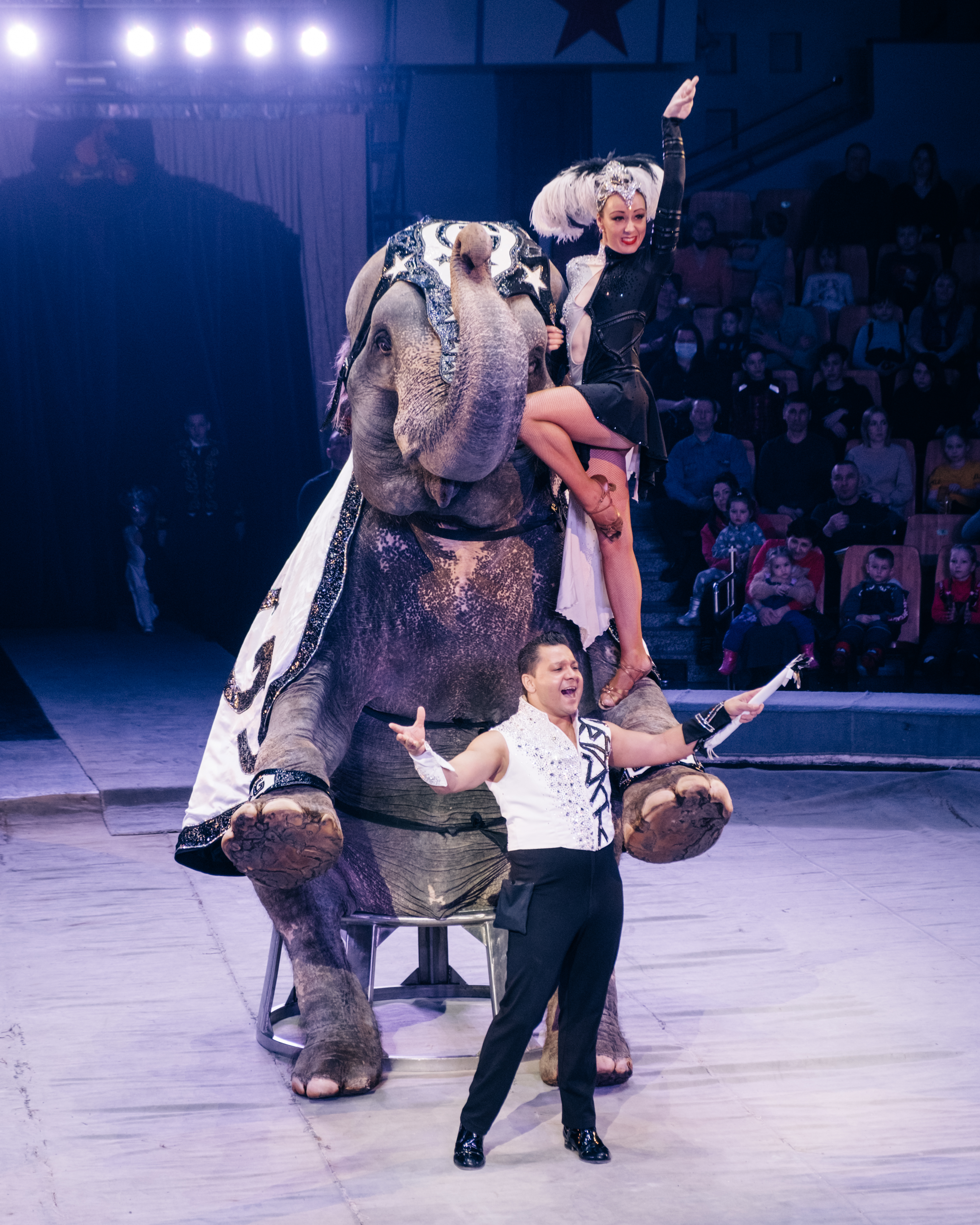Цирк шоу слонов 2022