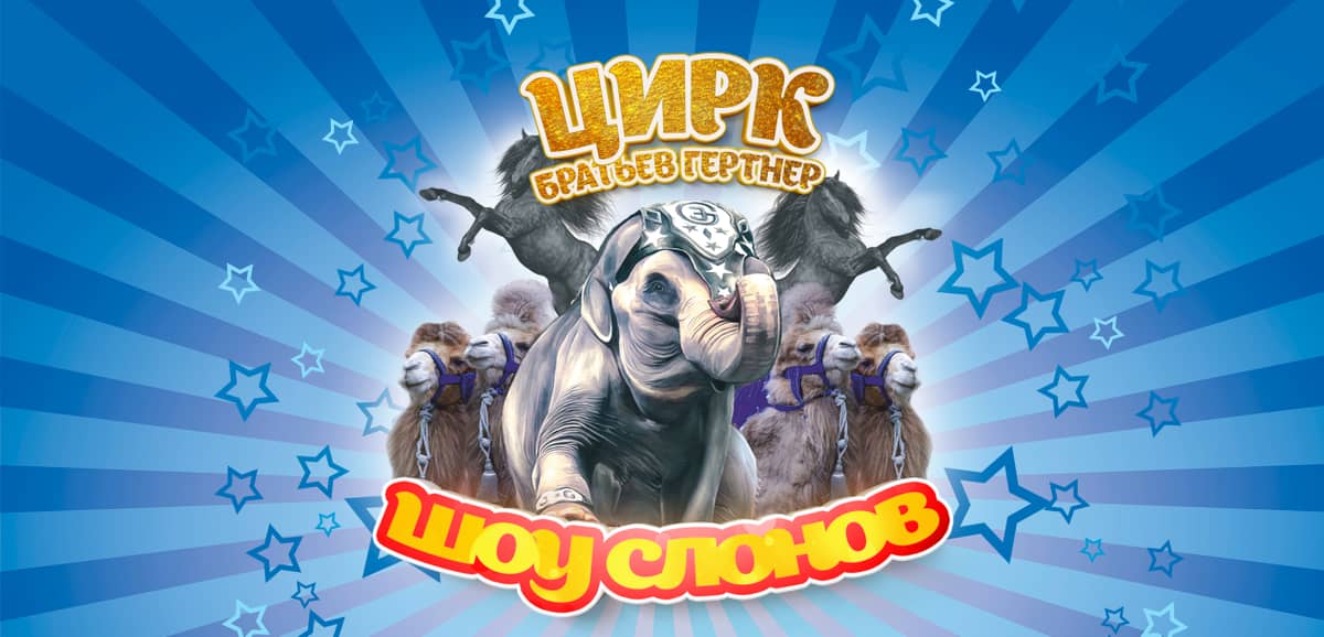 Цирк шоу слонов братьев Гертнер Магнитогорск | Официальный сайт
