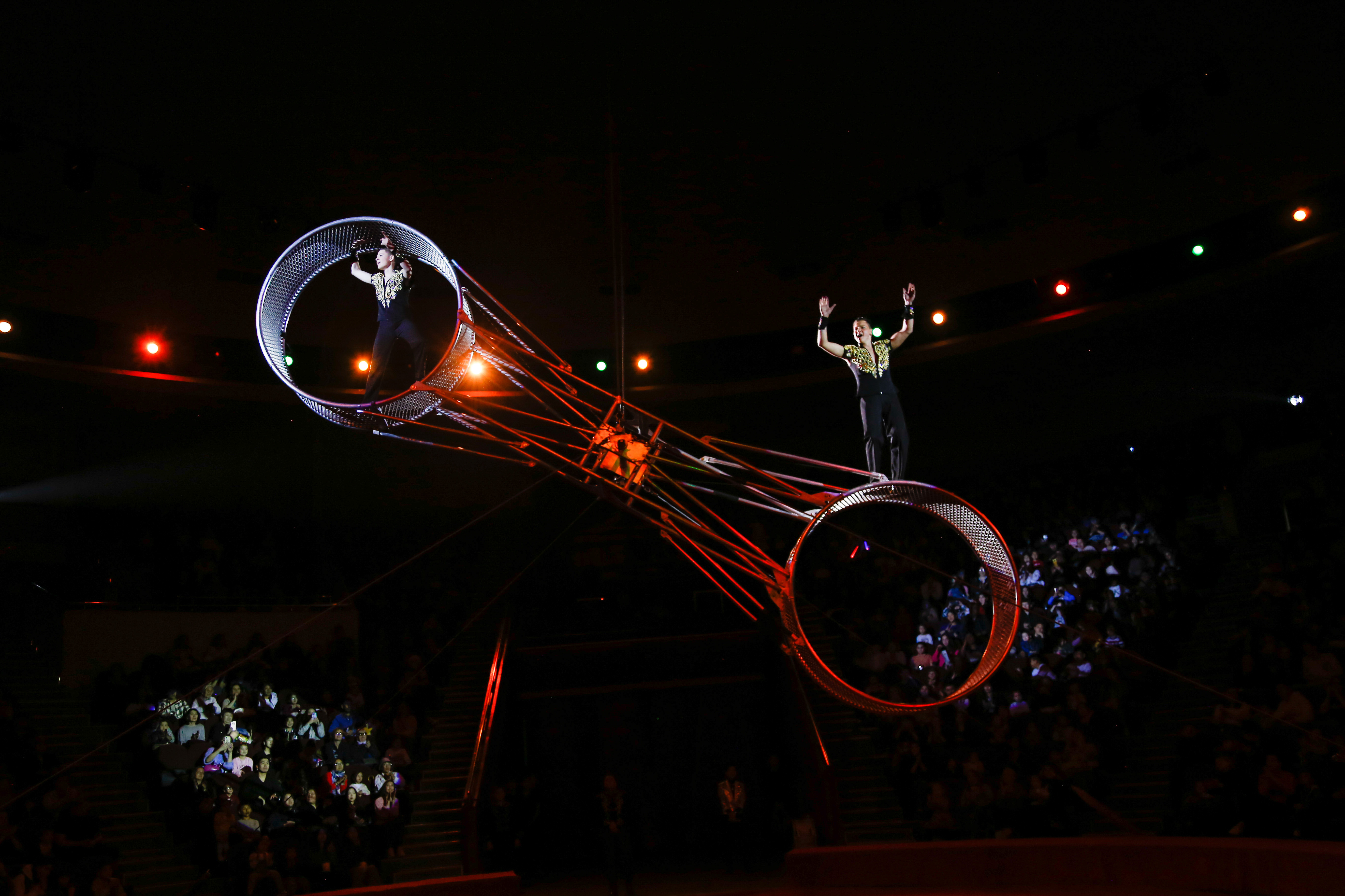 Немецкий цирк братьев Гертнер 2026