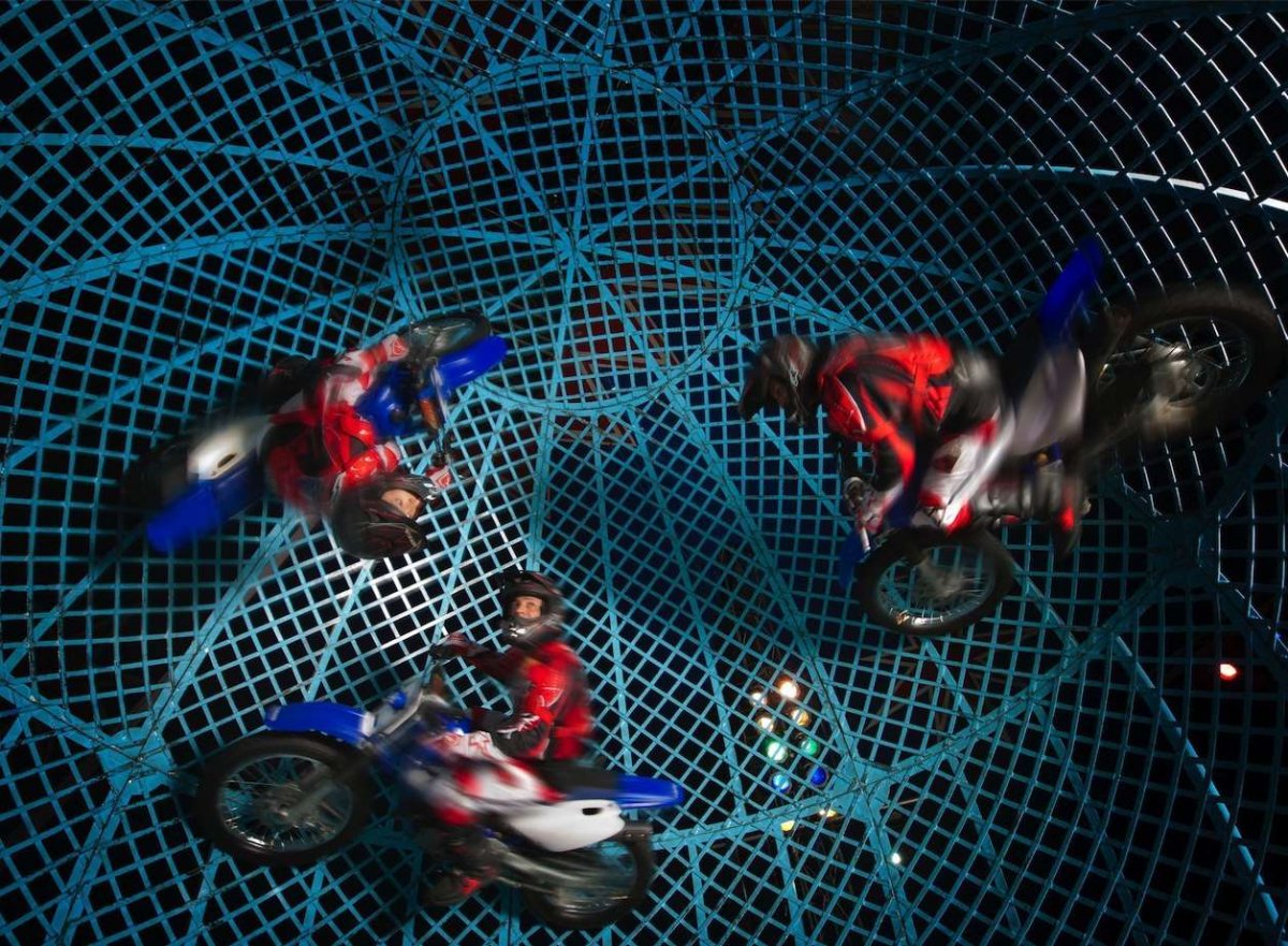 цирк братьев гертнер 2022