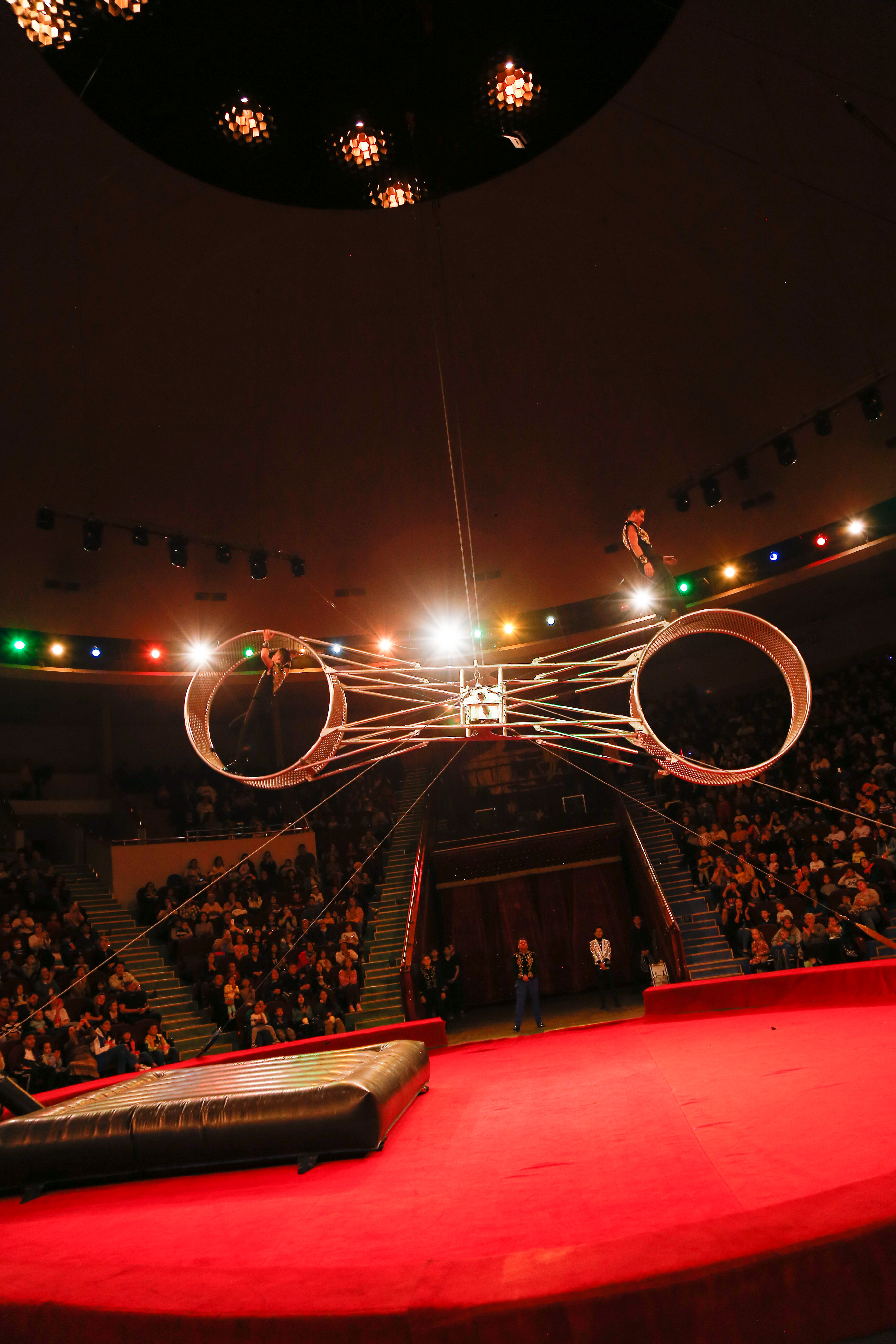 цирк братьев гертнер 2022